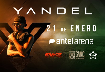 More Info for Yandel